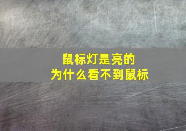 鼠标灯是亮的 为什么看不到鼠标